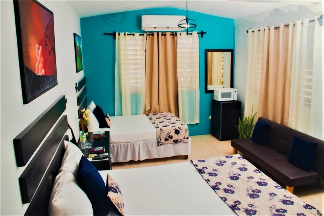 Eventuality B&B New Kingston Dış mekan fotoğraf