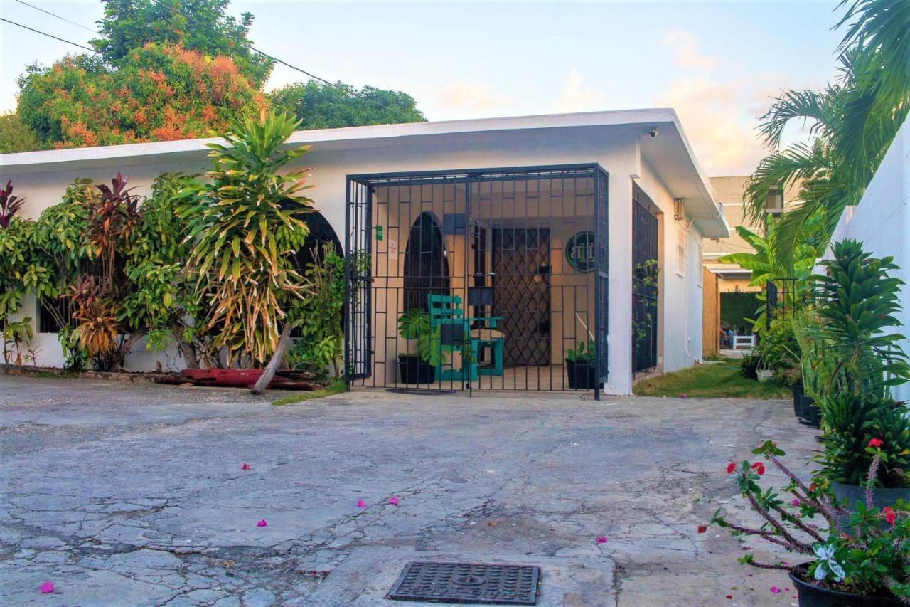 Eventuality B&B New Kingston Dış mekan fotoğraf