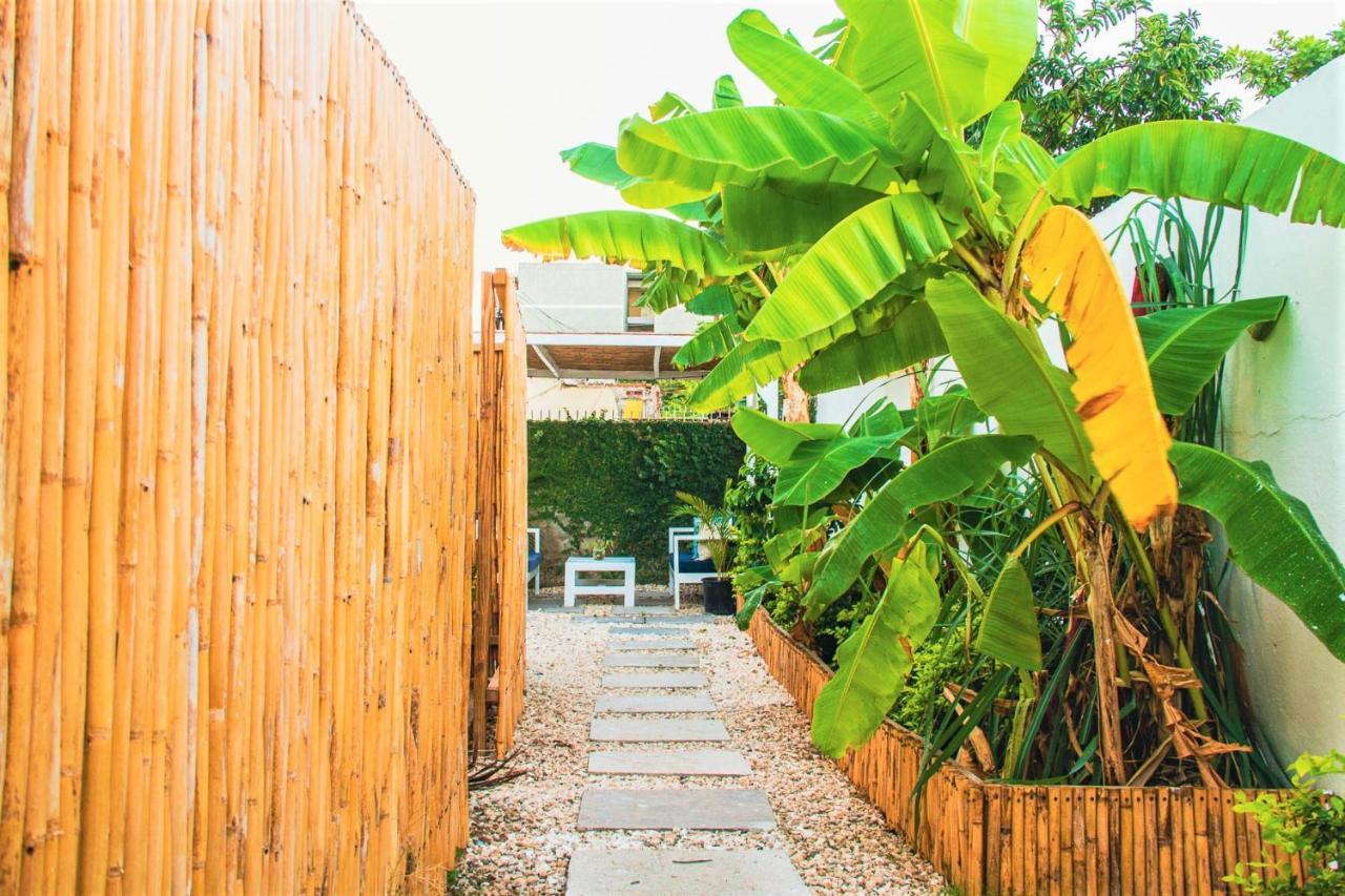 Eventuality B&B New Kingston Dış mekan fotoğraf