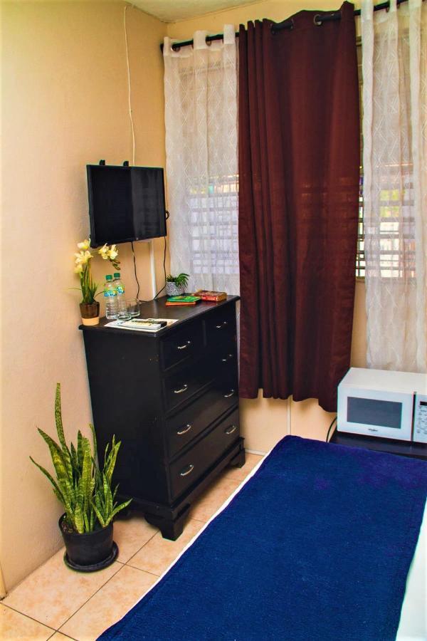 Eventuality B&B New Kingston Dış mekan fotoğraf