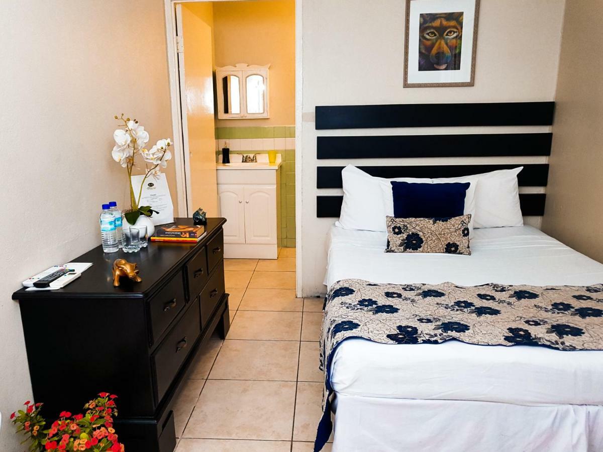 Eventuality B&B New Kingston Dış mekan fotoğraf